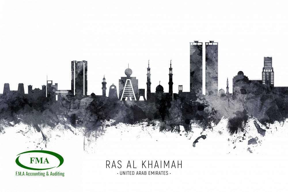 VAT Filing Guide UAE