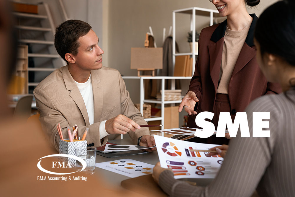 Best Accounting Practices for SMEs in UAE